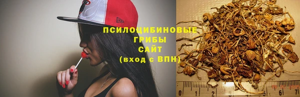 каннабис Аркадак