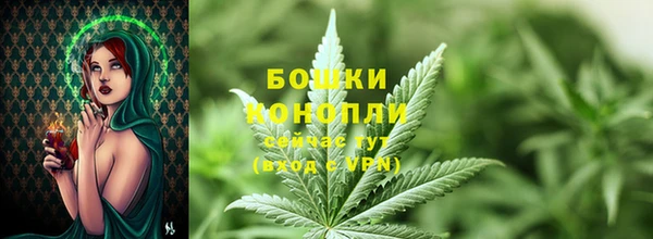 молекула духа Арсеньев