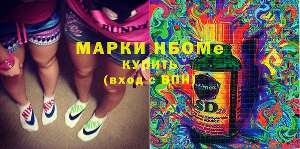 молекула духа Арсеньев