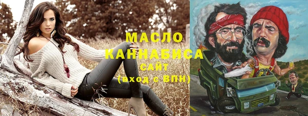 молекула духа Арсеньев