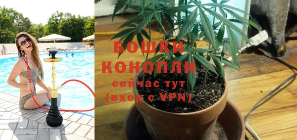 каннабис Аркадак