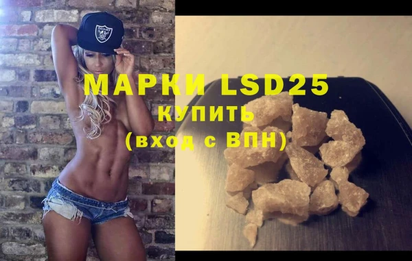 молекула духа Арсеньев