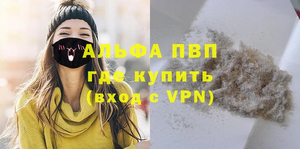 молекула духа Арсеньев