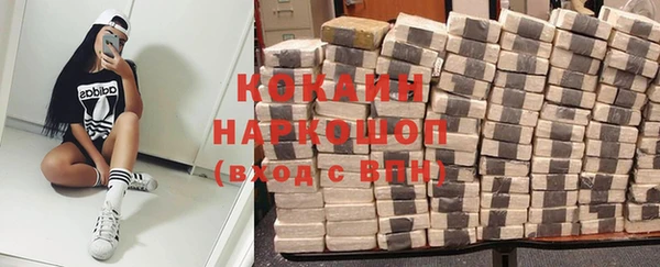 молекула духа Арсеньев